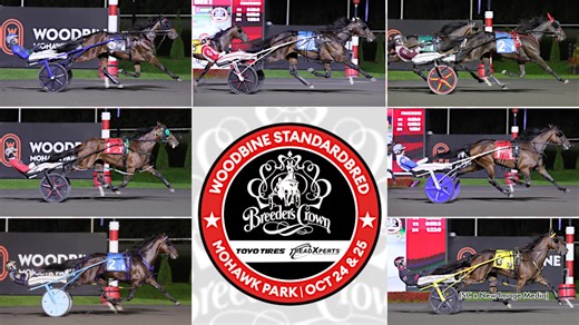 First Night Of 2025 Breeders Crown Elims Complete