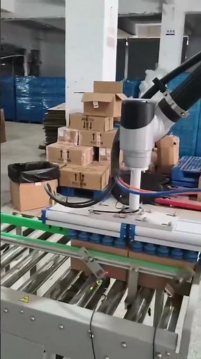 fully automatically packing line: carton forming/sealing and palletizing