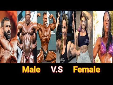 Top Male body builders vs top female body builder|physical compreson