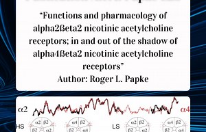 Publication Alert: Papke Lab »  Department of Pharmacology & Therapeutics » College of Medicine » University of Florida
