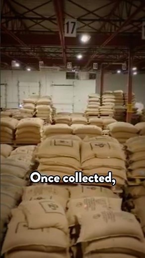 Where Does the Caffeine Go in Decaf Coffee? ☕️