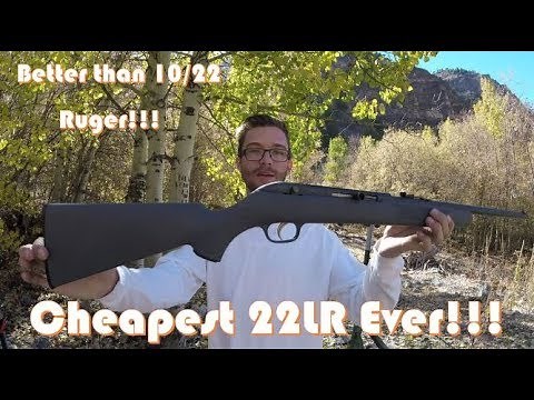 Cheapest Semi-Auto 22LR, Better Than the 10/22 Ruger!!! Savage 64