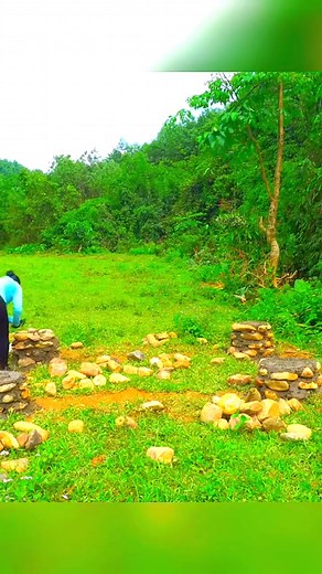 9.6K views · 156 reactions | Building stone pig house for raise pigs #build #farm #farmlife #farming #farmer #garden#300.mp4 | Alison Netherveth | Facebook