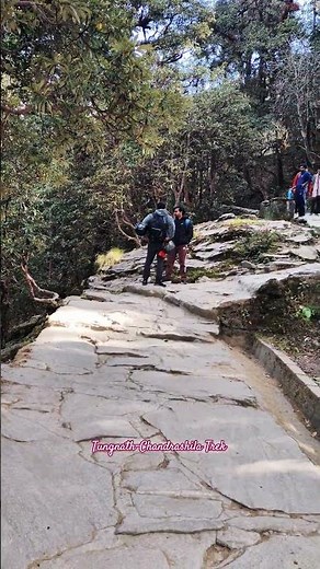 tungnath chopta trek #travel #indianexplorers #chopta #tungnath #birdtrend