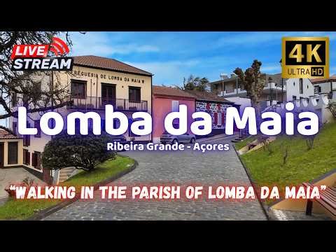 🎥 Lomba da Maia (Ribeira Grande) 🚶"Walking in the Parish of Lomba da Maia" - São Miguel, Azores🌲🌊🌺