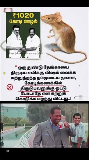 Election Time Satire | Political Promises vs Reality | Clean Comedy Memes 😄