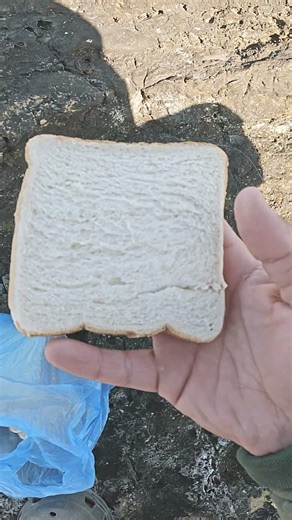 Simple Way to Catch Fish!