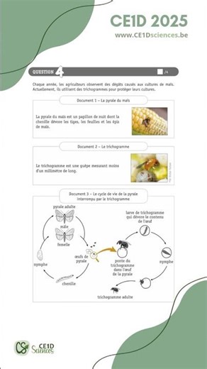CE1D 2025 - Question 4