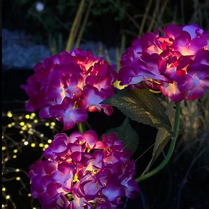 Dekorative Hortensia med solceller KUN 99 kr.😍 Lades op via solceller. Jordspyd medfølger. Køb direkte her: https://viamaja.dk/collections/blomster-med-solceller | Viamaja.dk