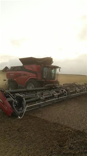 Case IH AF10 - Superioritate pe toate planurile | Titan Machinery România