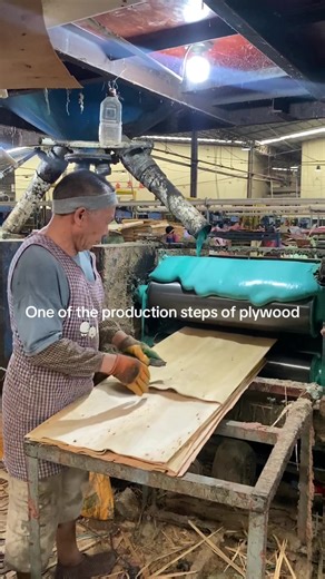 Steps Involved in Plywood Production