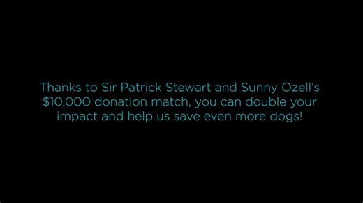 318K views · 2.2K shares | #GivingTuesday is extra special for Sunny...