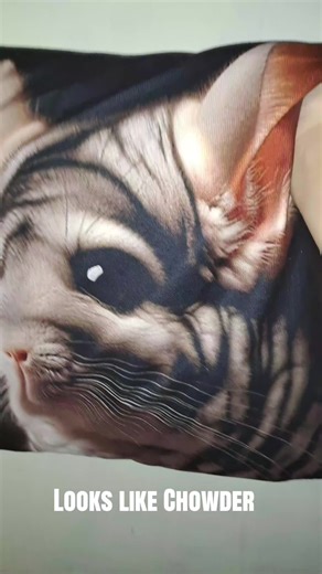 Looks Like Chowder. But the real one is 100x cuter🥰🥰🥰. #chinchillas #chowchinknox #dustchamber #chingames #chillinwithchinchillas @chowchinknox @chowchinknox