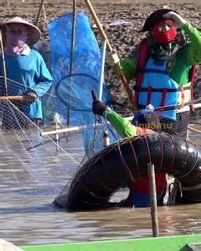 มันใหญ่มาก กะโห้ 20+ เข้ายอ 9 ศอก #คลิปจับปลาใหญ่ #fishing #คลิปยกยอ