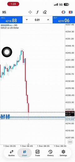 Panduan Indikator Terbaik untuk Trading Forex di MT5