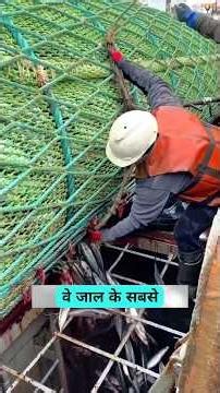 Machhuaare Khud Hi Lakhon Ki Fishing Net Kyu Kaat Dete Hain? 😱🎣🐟