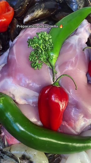 Authentic Senegalese Paella Preparation