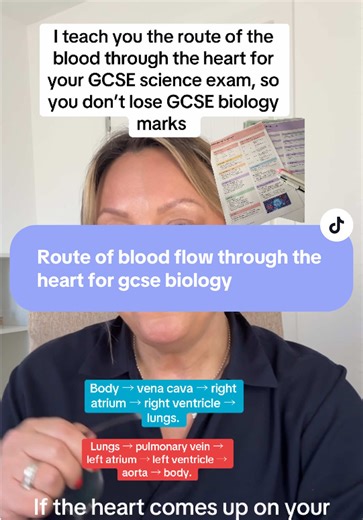 If the heart comes up on your GCSE Biology paper, students often mix up this sequence. Lucie here. I’m a GCSE Science tutor and I created Topic on a Page revision sheets so students can revise the massive GCSE science specification one topic at a time. You can download them instantly from the link in my bio. Here’s the blood flow you need to remember. Body → vena cava → right atrium → right ventricle → lungs. Then back again. Lungs → pulmonary vein → left atrium → left ventricle → aorta → body. 