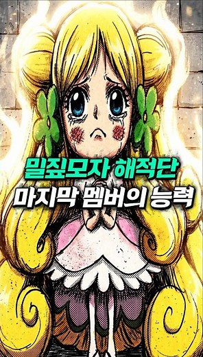 The final member of the Straw Hat Pirates is finally revealed