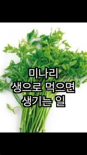 #태비쌤 | 미나리 육회 소생간 먹으면 생기는일 제 프로필에 유트브 링크를 들어가면 기생충 감염예방 영상이 있습니다. https://youtube.com/channel/UCDyIIH5BIemeInTgHwacNXA?si=uUIeSdRMh8dRZK3u 유트브 태비쌤 | Instagram