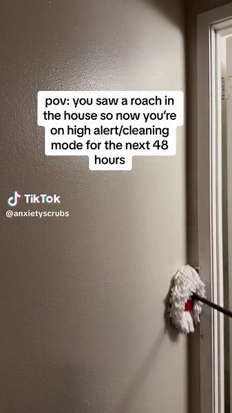 Deep Cleaning Tips after Spotting a Roach in Your House