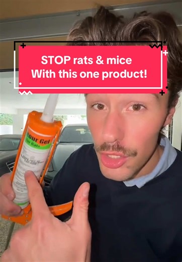SNEAKIEST ways rats & mice get into your garage and how to STOP them! #garage #pestcontroltips #homeowners #productreview