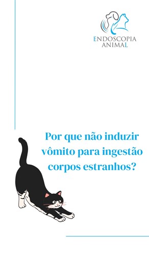 Endoscopia Animal on Instagram: "Por que não devemos induzir o vômito em pacientes que ingerem corpos estranhos? Neste vídeo abordo os principais riscos associados à indução de vômito, especialmente quando realizada com peróxido de hidrogênio (água oxigenada), e as possíveis consequências dessa prática. A endoscopia se destaca como o método mais seguro e eficaz para a remoção de corpos estranhos localizados nas porções iniciais do trato gastrointestinal — esôfago, estômago e duodeno —, garantind