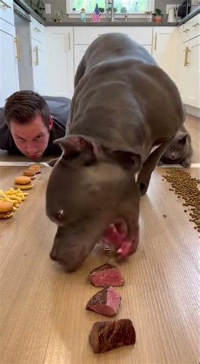 Who Eats the Fastest? Man vs Dog vs Cat Challenge | PART 55 #dog #dogeating