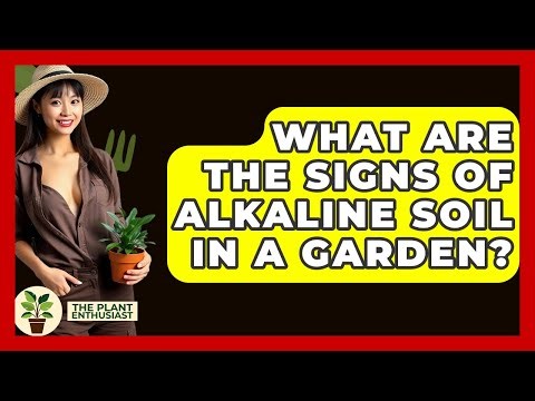 What Are The Signs Of Alkaline Soil In A Garden? - The Plant Enthusiast