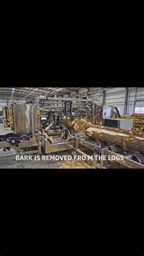 How Trees Are Turned Into Toilet Paper