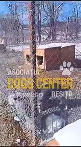 27 reactions · 16 shares | Este dureros să vedem cum mii de like-uri...