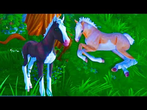 New Color Changing Horses + Map Area Star Stable Online