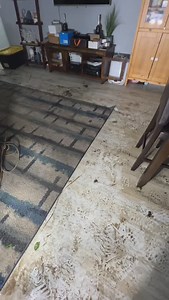 147K views · 2.6K reactions | ✨Comment “Link” I’ll DM you the link and coupon code✨ From Now to Nov. 20, use my exclusive code eastcoast12 to grab Narwal’s new flagship Freo Z Ultra robot vacuum & mop early at the lowest Black Friday price! Click the link in bio, comment “Link”, or go to https://bit.ly/3Oc4xxU #narwal #narwalfreozultra #narwalpartner | EastCoastFloridaDIY | Facebook