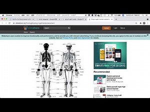 OpenSim マーカーセット編集、フルボディモデル