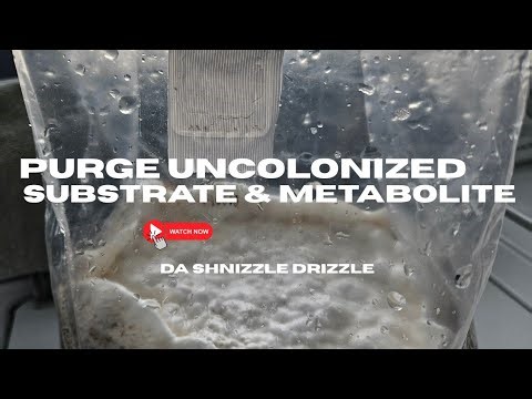Remove Uncolonized Sub/Metabolite Before Fruiting
