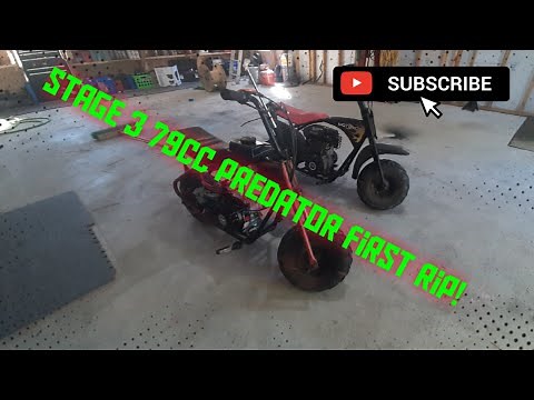 Built 79cc Predator mini bike test Ride 7000+RPM! #5