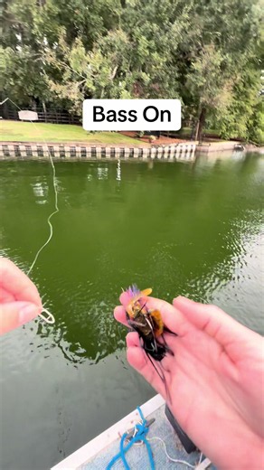 Topwater Bass Fishing Tips: Make More Casts, Less Tackle Fuss
