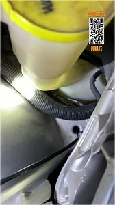 Why is My Car Engine Purring-! | Pet Lovers