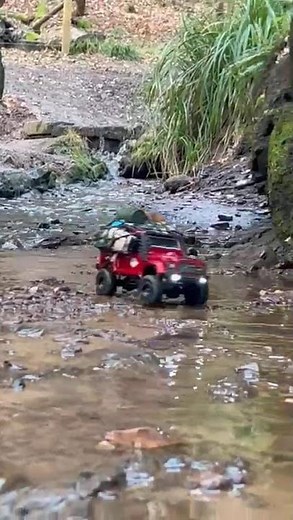 mud crawler 019