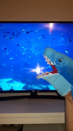 Funny Shark Attack Song Compilation