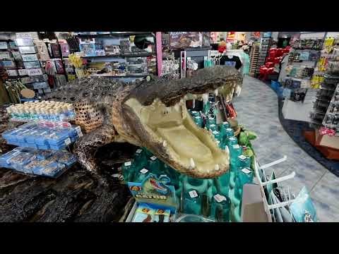 Exploring Hwy 192 Gift Shops In Kissimmee - Weird places / Mario Shirts & Universal apparel.