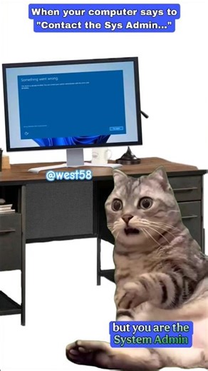 System Administrator #funny #funnyshorts #technology #computer #memes #system #admin #funnymemes