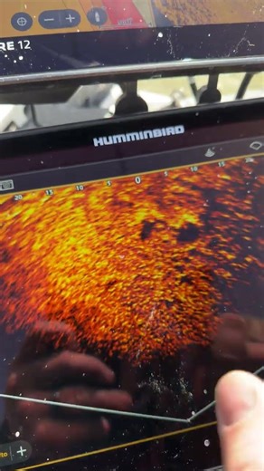 Humminbird Mega Live 2 in Perspective mode and the Mega 360 working great!