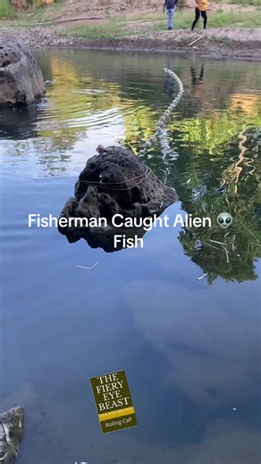 #milkillbill #countbrown #trendingvideo #fyp #alienfish | alien fish