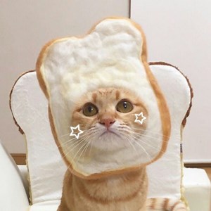 Matching Cat Pfps For Couples