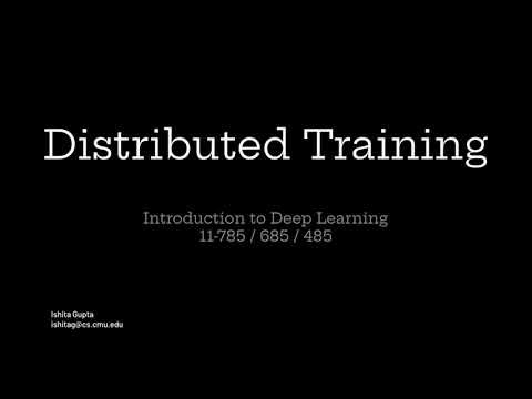 Spring 2025 Recitation 0.22 Distributed Training