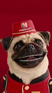 86 reactions | Got a trip coming up? Download our app for great deals on thousands of hotels worldwide! | Hotels.com | Facebook