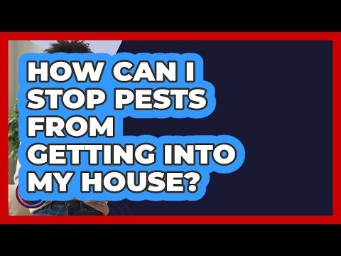How Can I Stop Pests From Getting Into My House? - Get Rid Of Guide
