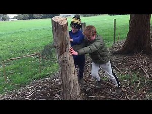 How To Remove A Tree Stump Under 30 Seconds .....Without Digging