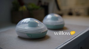 Willow Go Explainer Video